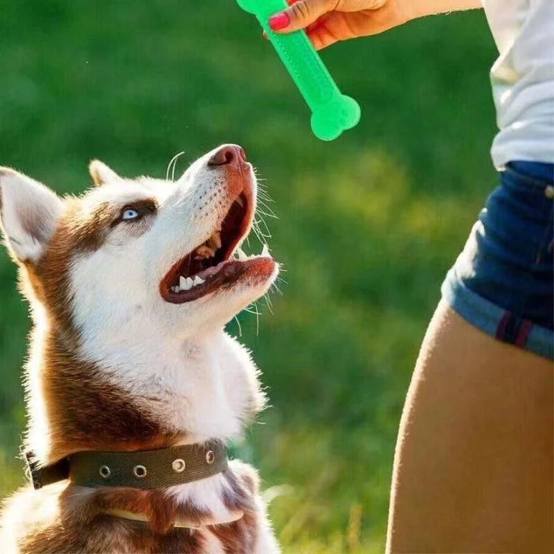 Teeth Cleaning Dog Chew Bone - Süper Sert Köpek Kemik Çiğneme Oyuncak