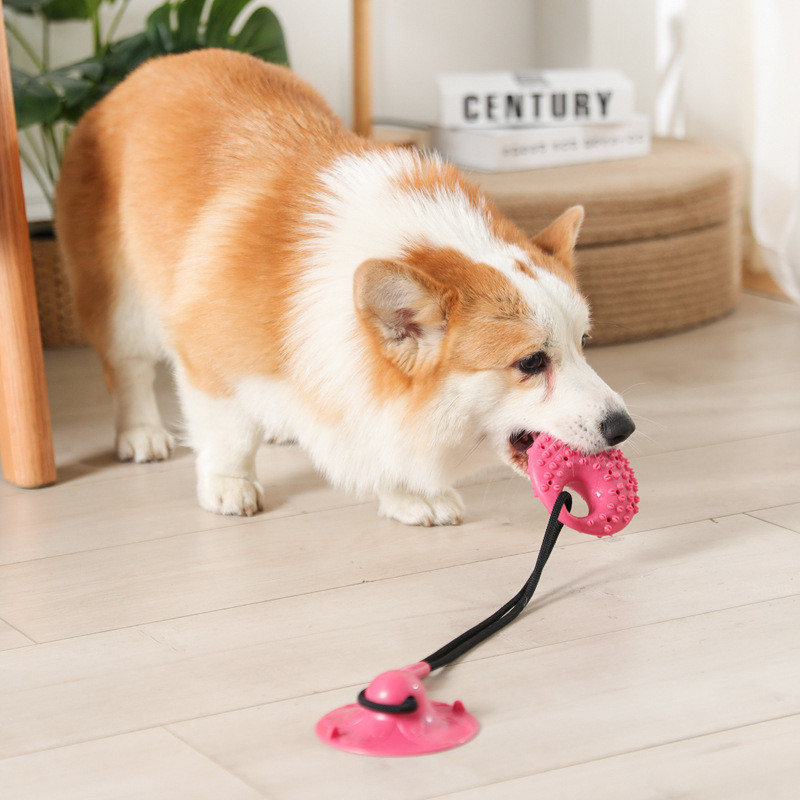 Suction Cup Dog Tug Toy - Köpek Oyuncakları Silikon Vantuz Römorkör Interaktif