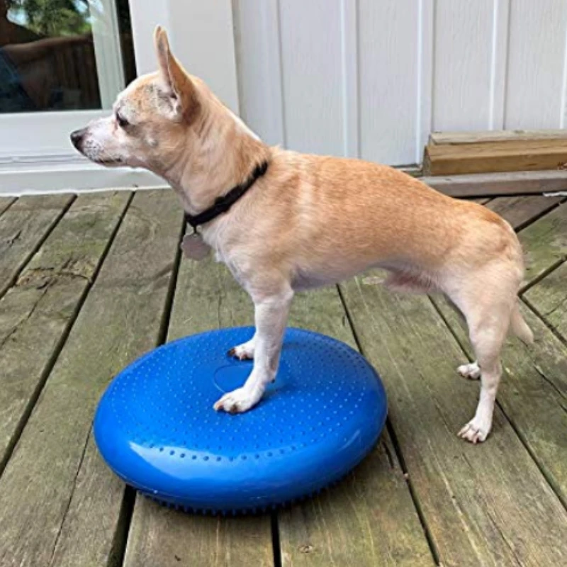 Flying Disc Dog Training Toy - Köpekler eğitim yardımları denge uçan daire