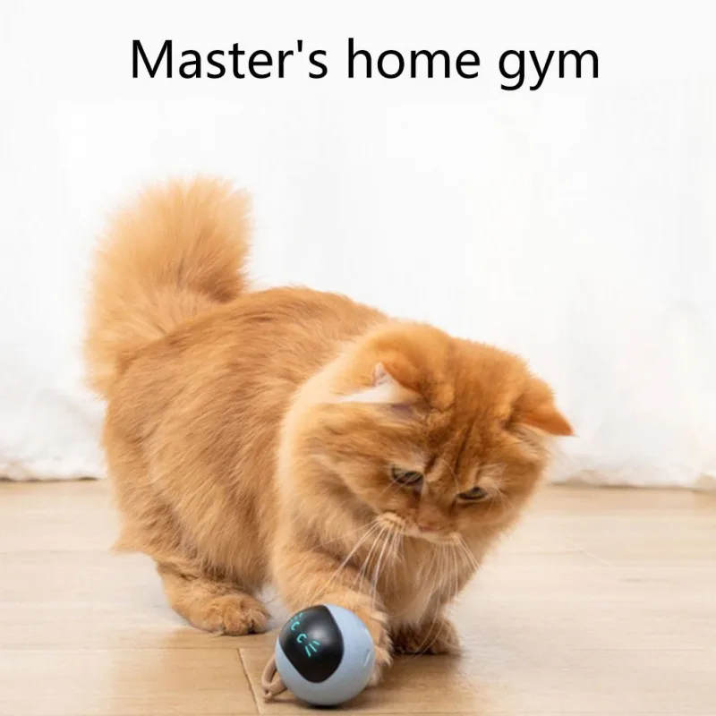 Automatic Moving Dog Ball - İnteraktif Kedi Topu Oyuncak USB Şarj
