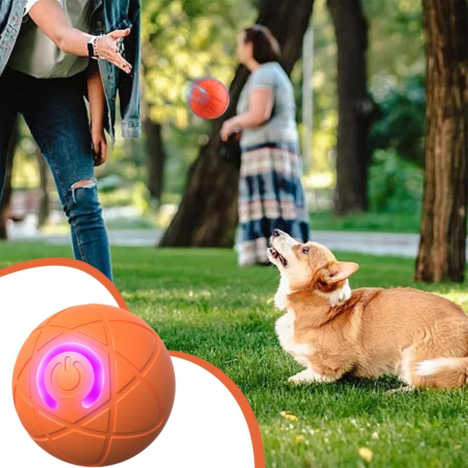 Automatic Moving Dog Ball - Agresif Çiğneme Makineleri için Akıllı İnteraktif