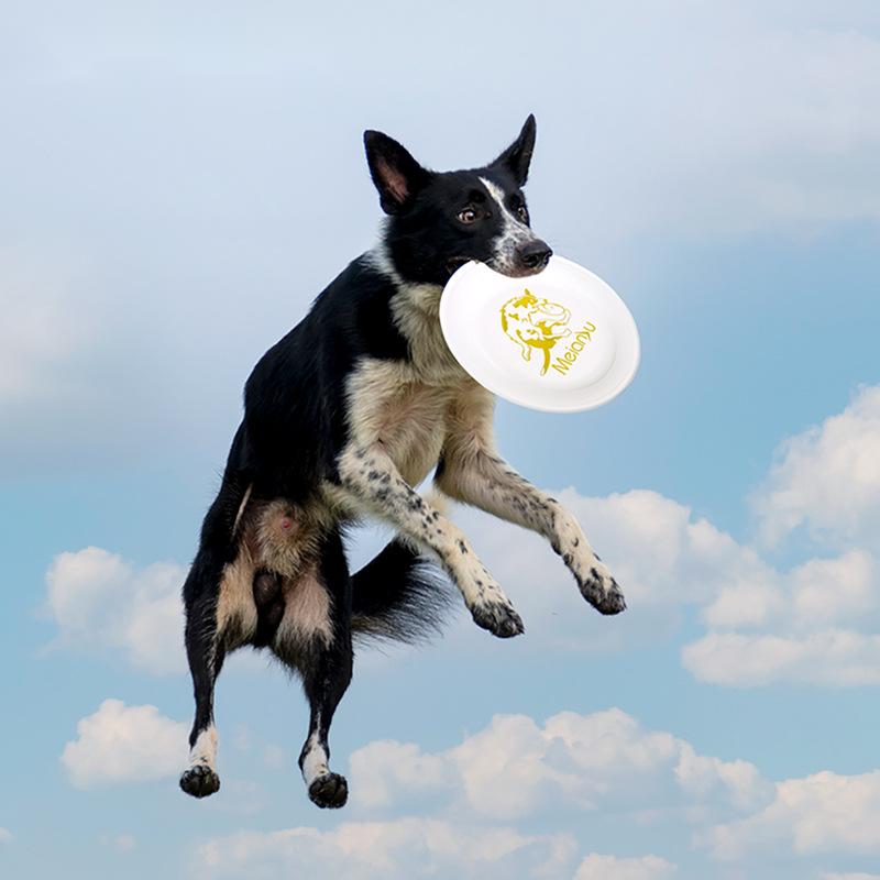 Flying Disc Dog Training Toy - OUZEY Bite dayanıklı Pet eğitim uçan