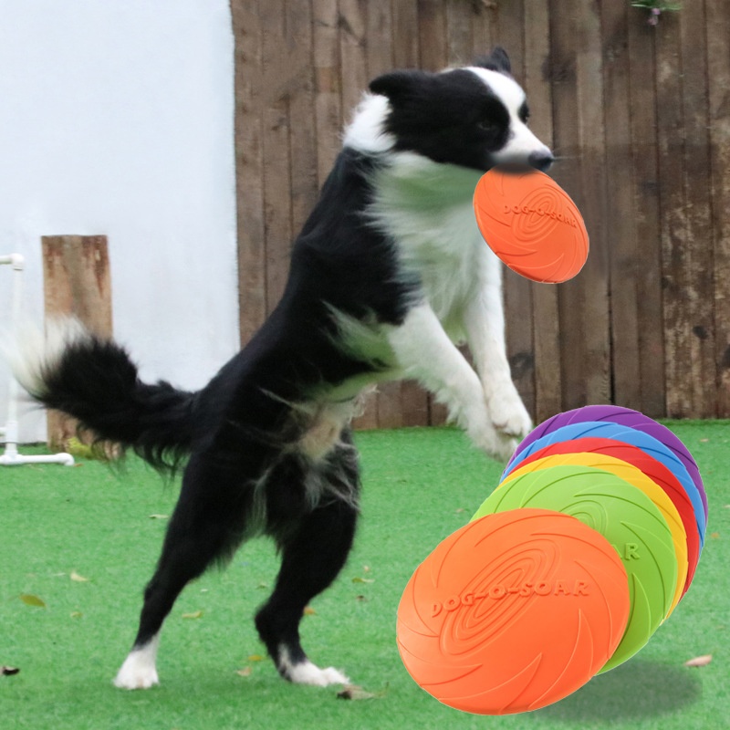 Flying Disc Dog Training Toy - Köpekler ve Kediler için İnteraktif Silikon