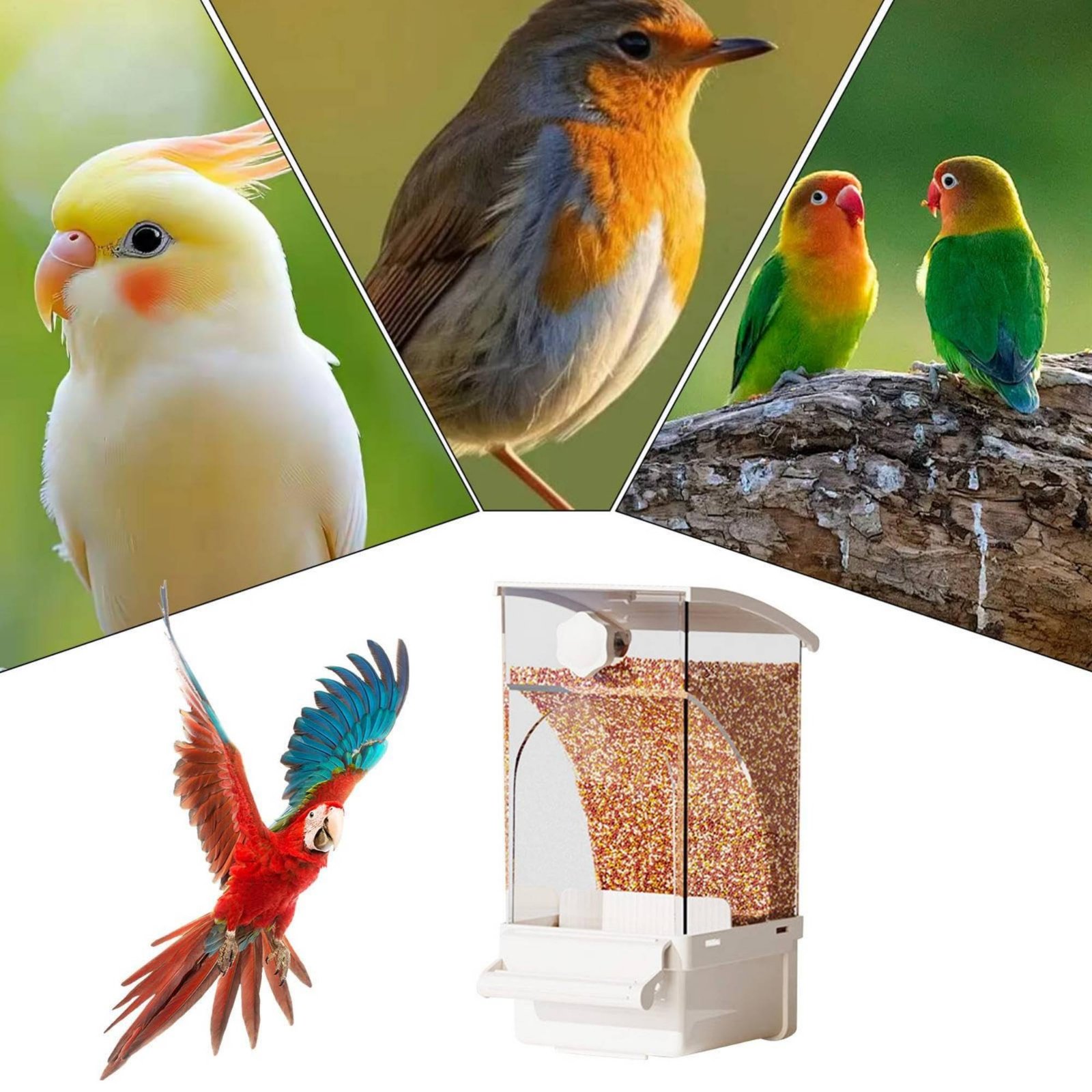 Pet Feeders - Otomatik Kuş Yemliği Kabuk Ayırıcı Dağınıklık