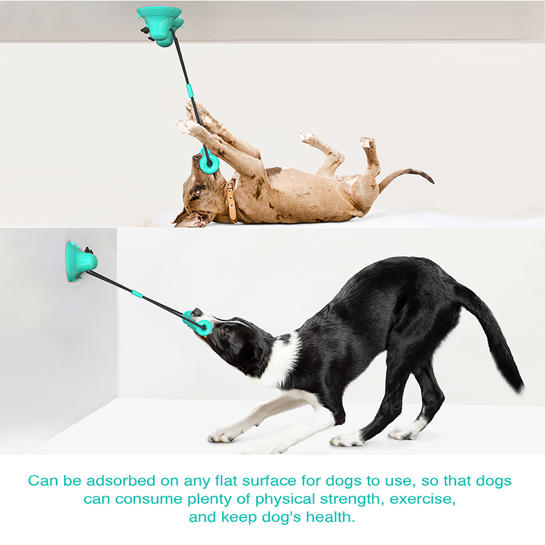 Suction Cup Dog Tug Toy - Çift Vakumlu Bardaklı Köpek Çekme Oyuncağı,