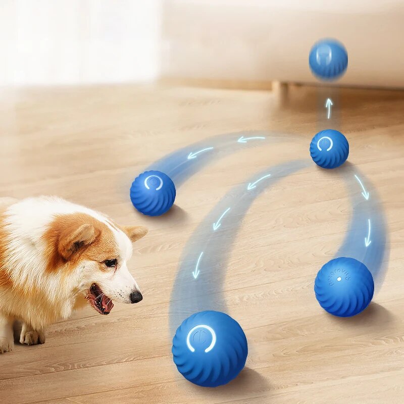 Suction Cup Dog Tug Toy - Köpek Oyuncakları Akıllı Yerçekimi Atlama Topu