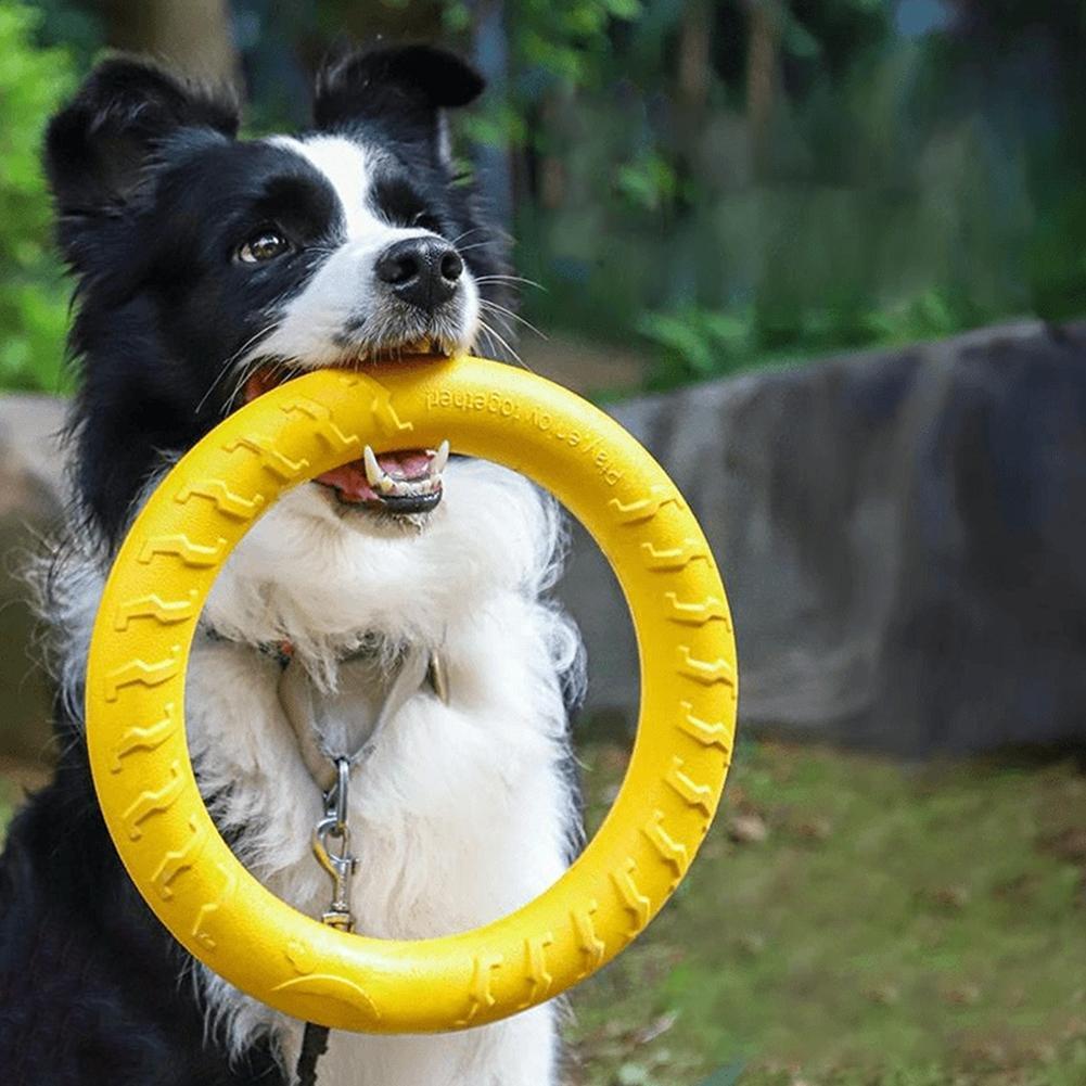 Interactive Squeaky Plush Dog Toy - Köpek Oyuncakları: Kırılmaz, Çiğneme, Uçma, Yüzme,