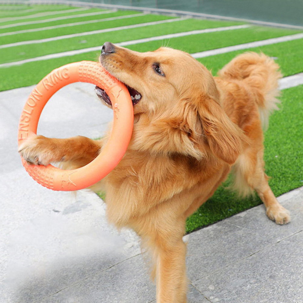 1 adet turuncu köpek oyuncakla - Interactive Squeaky Plush Dog Toy incelemesi ve fiyatı