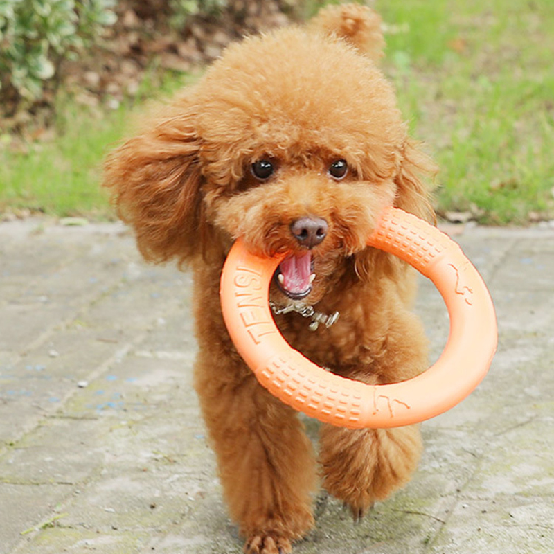 1 adet turuncu köpek oyuncakla - Interactive Squeaky Plush Dog Toy incelemesi ve fiyatı