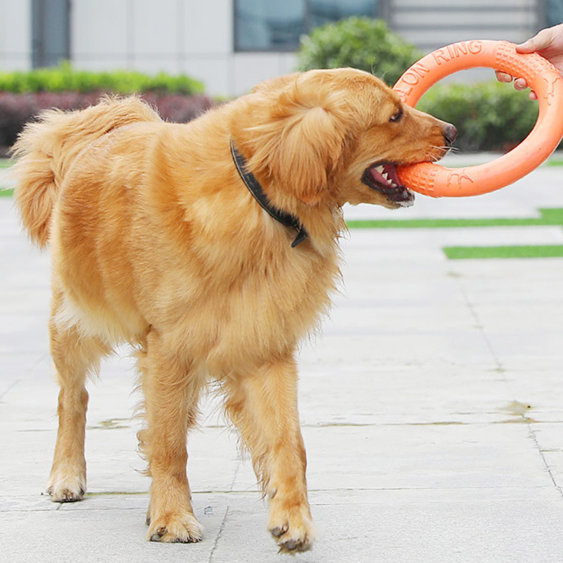 1 adet turuncu köpek oyuncakla - Interactive Squeaky Plush Dog Toy incelemesi ve fiyatı