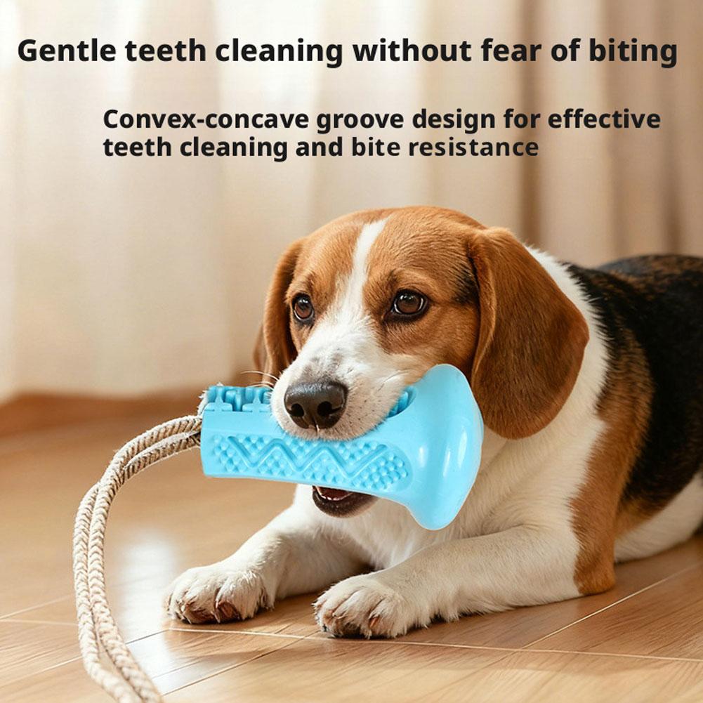 Vakumlu Köpek Çiğneme Oyuncağı - Suction Cup Dog Tug Toy incelemesi ve fiyatı