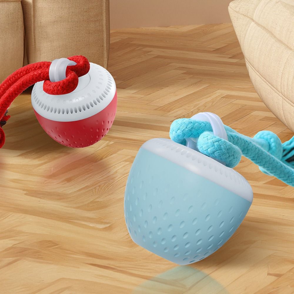 Isırmaya Dayanıklı Akıllı Evci - Automatic Moving Dog Ball incelemesi ve fiyatı