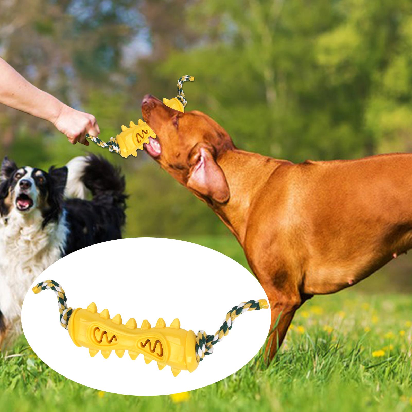 Agresif çiğneyiciler için çiğn - Dog Rope Toy Aggressive Chewers incelemesi ve fiyatı