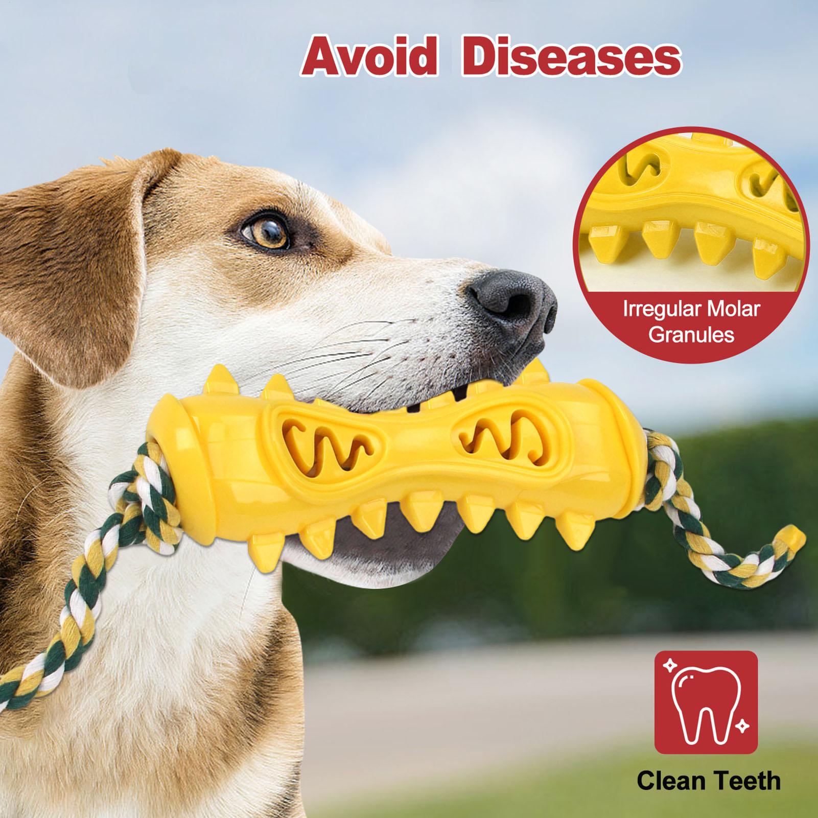 Agresif çiğneyiciler için çiğn - Dog Rope Toy Aggressive Chewers incelemesi ve fiyatı