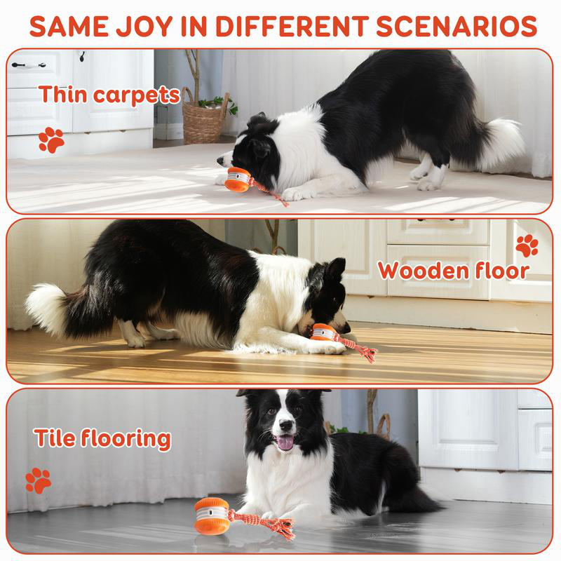 Akıllı Elektrikli İnteraktif E - Automatic Moving Dog Ball incelemesi ve fiyatı