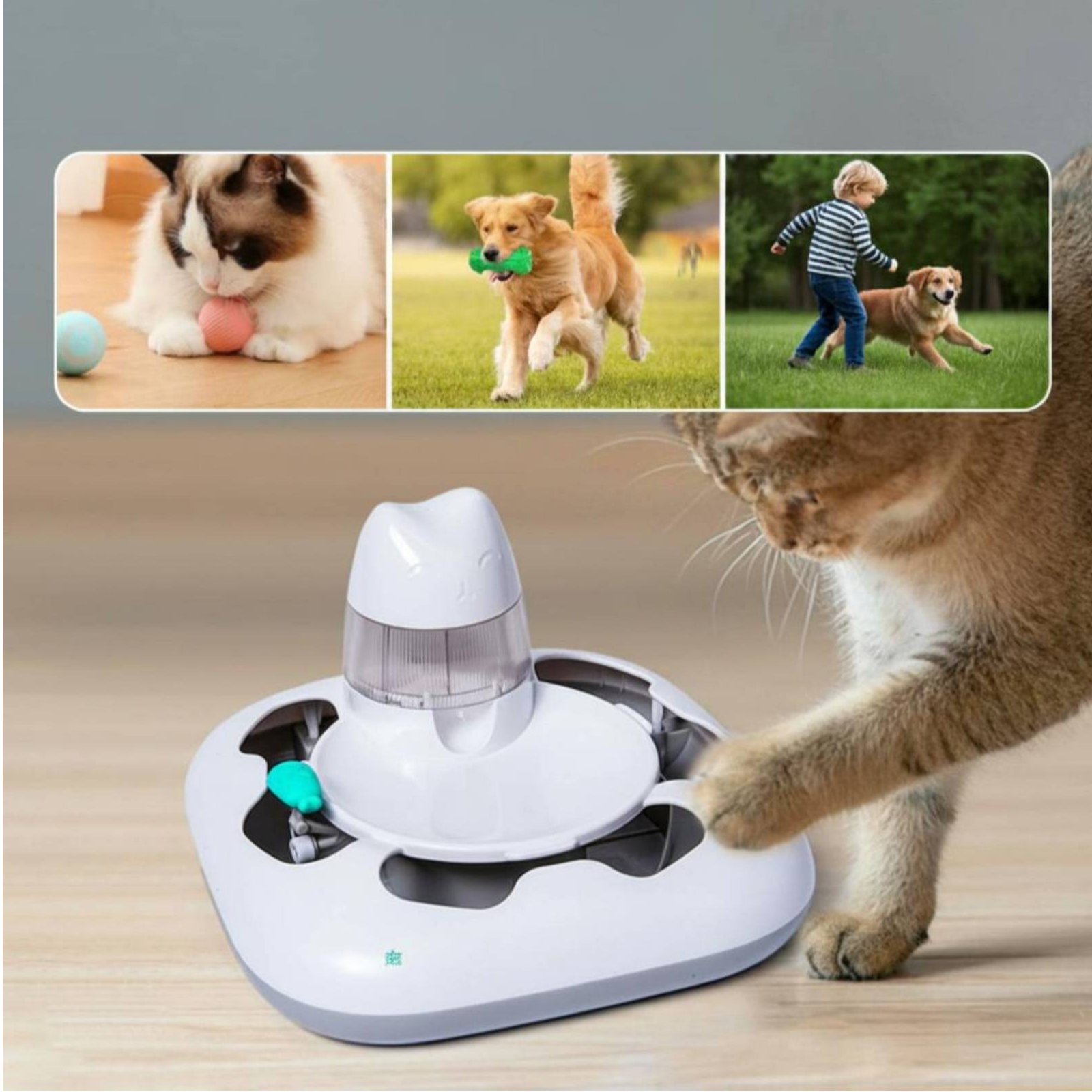 Kedi Avı Oyun Makinesi İnterak - Cat Toys incelemesi ve fiyatı