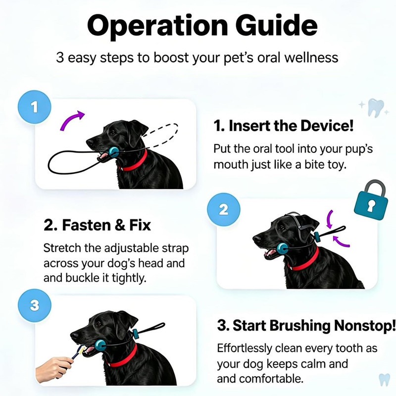 Dayanıklı Köpek Çekme Oyuncağı - Teeth Cleaning Dog Chew Bone incelemesi ve fiyatı