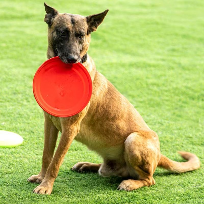 Sert Plastik Köpek Frizbi Pati - Flying Disc Dog Training Toy incelemesi ve fiyatı