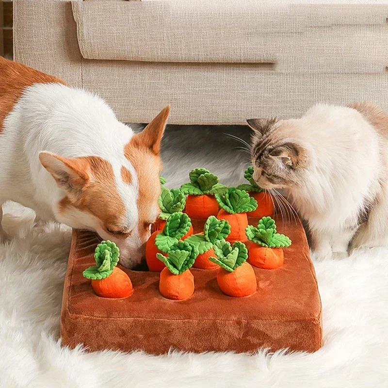 Köpek Oyuncakları Koklama Matı - Snuffle Mat For Dogs incelemesi ve fiyatı