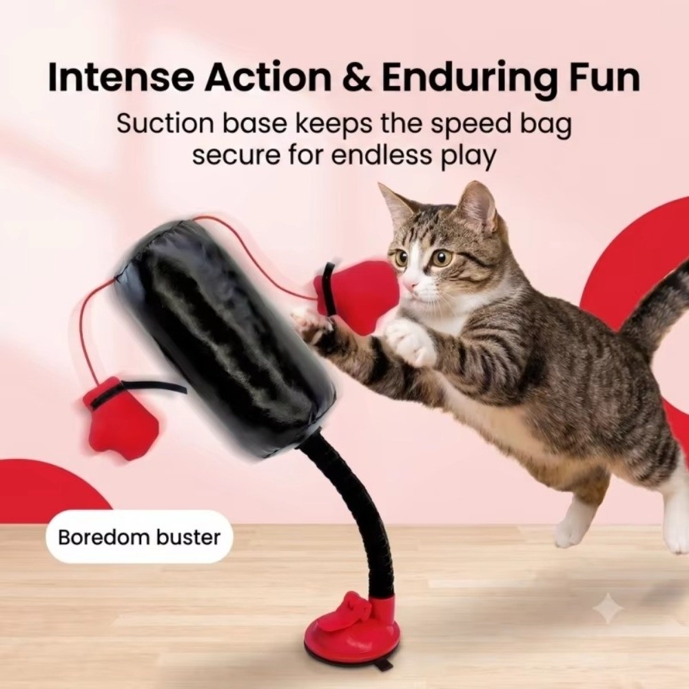 Vakumlu Tabanlı Kedi Boks Oyun - Interactive Squeaky Plush Dog Toy incelemesi ve fiyatı