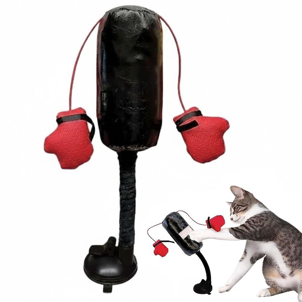 Vakumlu Tabanlı Kedi Boks Oyun - Interactive Squeaky Plush Dog Toy incelemesi ve fiyatı