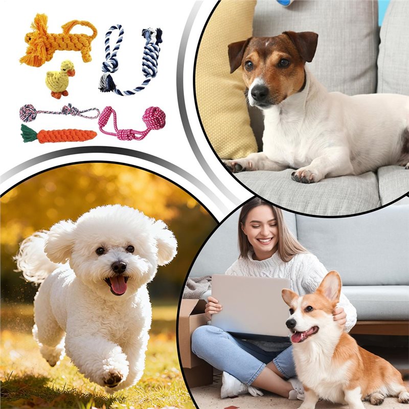 Köpekler İçin Halat 6 Parça Pa - Dog Rope Toy Aggressive Chewers incelemesi ve fiyatı