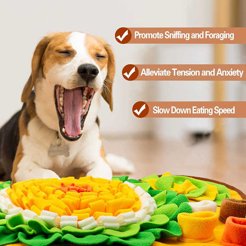 Evcil Köpekler İçin İnteraktif - Snuffle Mat For Dogs incelemesi ve fiyatı