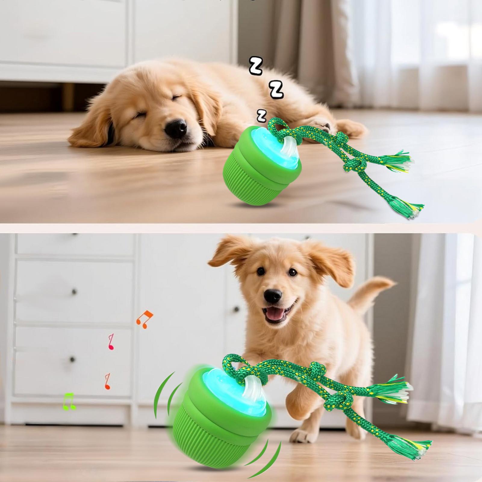 İnteraktif Köpek Topu Otomatik - Automatic Moving Dog Ball incelemesi ve fiyatı