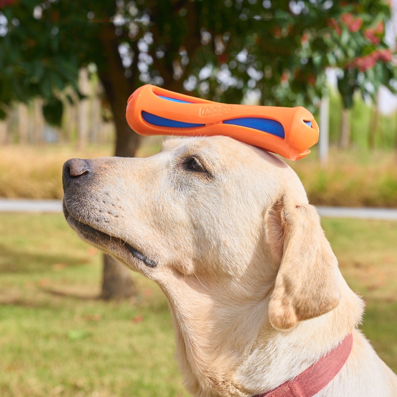 Yıkılmaz Yüzen Köpek Çiğneme O - Indestructible Dog Chew Toy incelemesi ve fiyatı