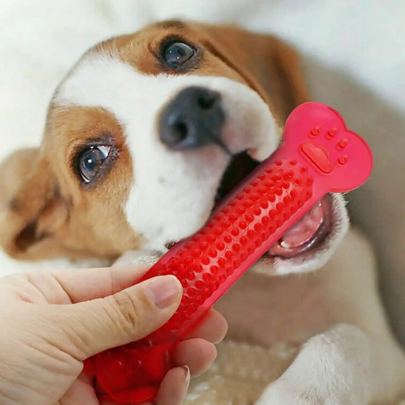 Süper Sert Köpek Kemik Çiğneme - Teeth Cleaning Dog Chew Bone incelemesi ve fiyatı