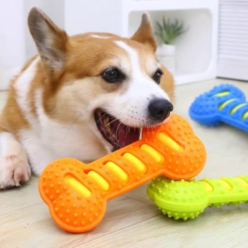 Kauçuk Kemik Köpek Molar Çubuğ - Teeth Cleaning Dog Chew Bone incelemesi ve fiyatı