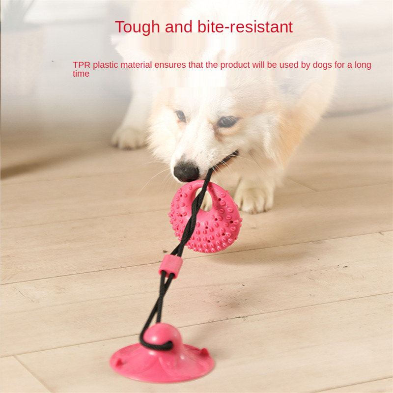Köpek Oyuncakları Silikon Vant - Suction Cup Dog Tug Toy incelemesi ve fiyatı