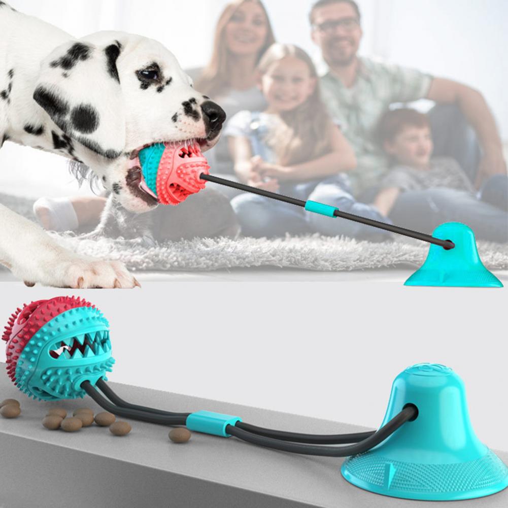 Agresif Çiğneme Oyuncakları iç - Suction Cup Dog Tug Toy incelemesi ve fiyatı