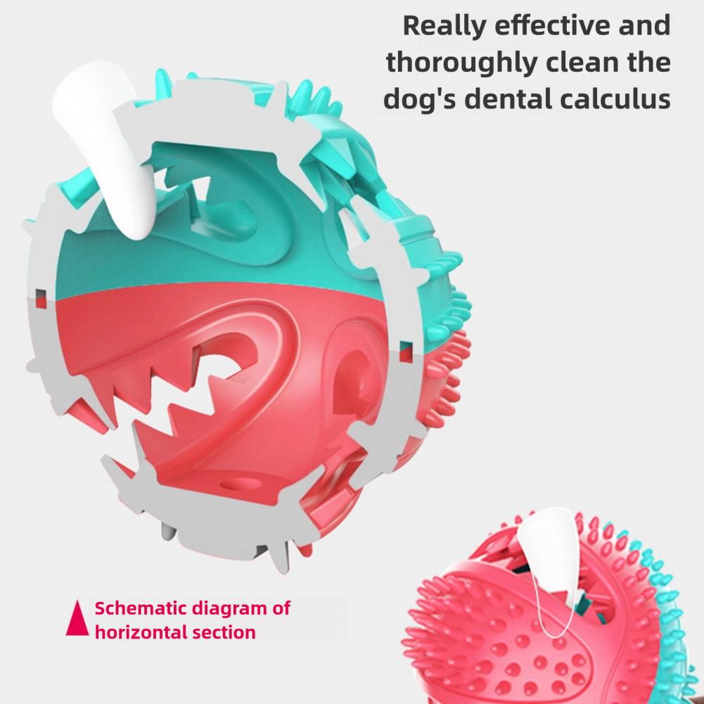 Agresif Çiğneme Oyuncakları iç - Suction Cup Dog Tug Toy incelemesi ve fiyatı