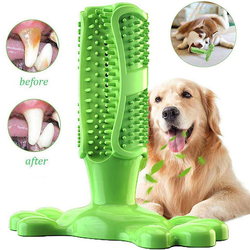 Pet köpek kaktüs interaktif ka - Rubber Treat Dispensing Dog Toy incelemesi ve fiyatı