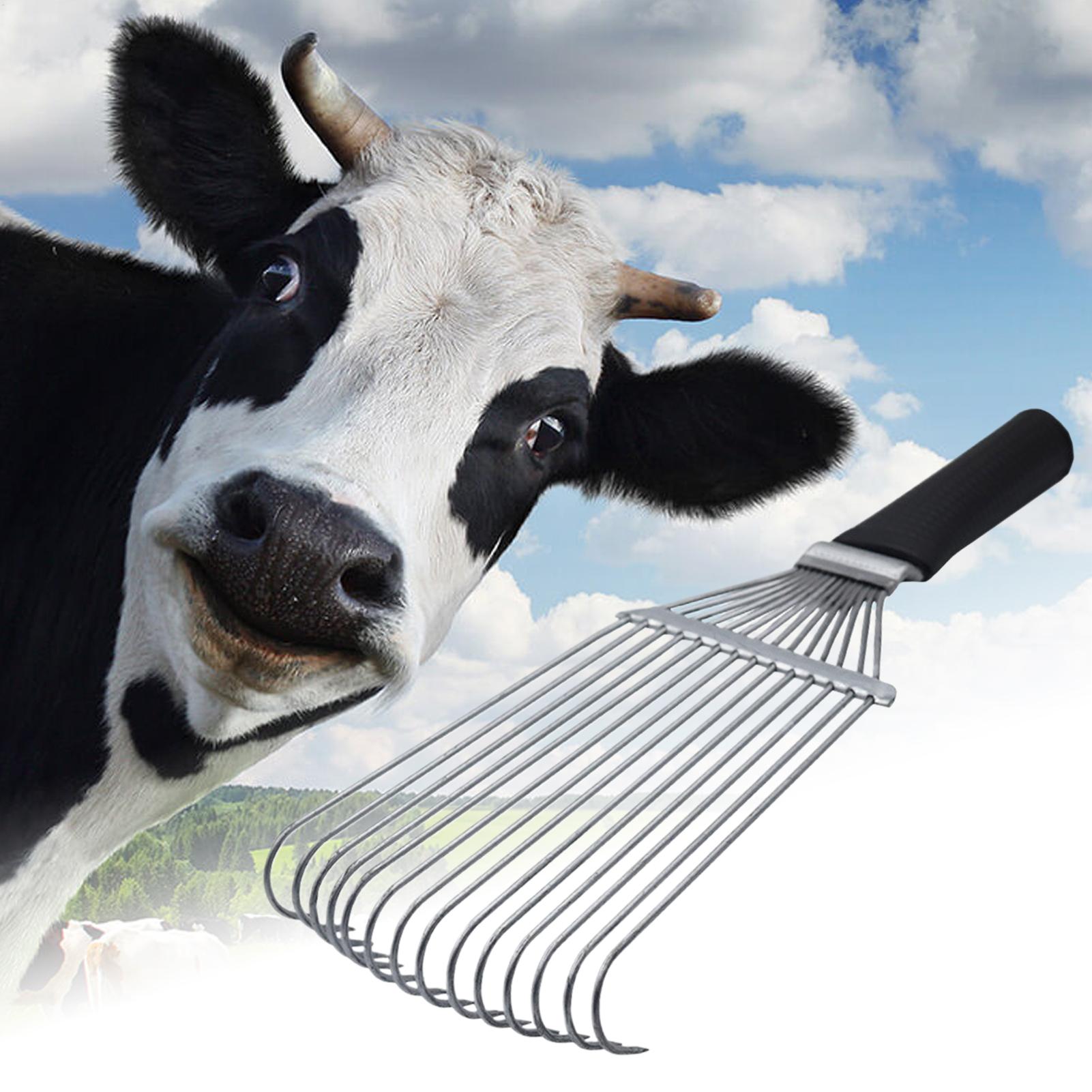 Evcil Hayvanlar, Keçi, Koyun,  - Pet Grooming incelemesi ve fiyatı