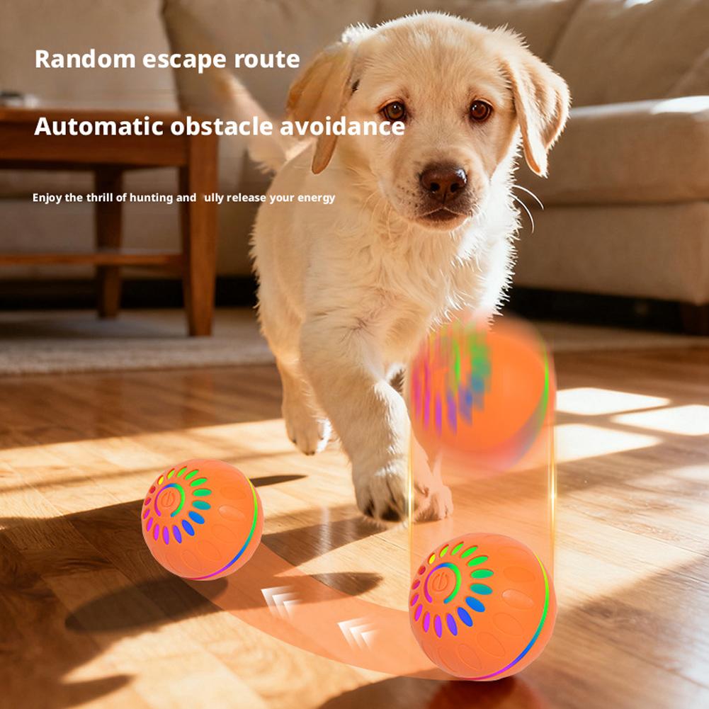 Akıllı Köpek Oyuncak Topu Otom - Automatic Moving Dog Ball incelemesi ve fiyatı