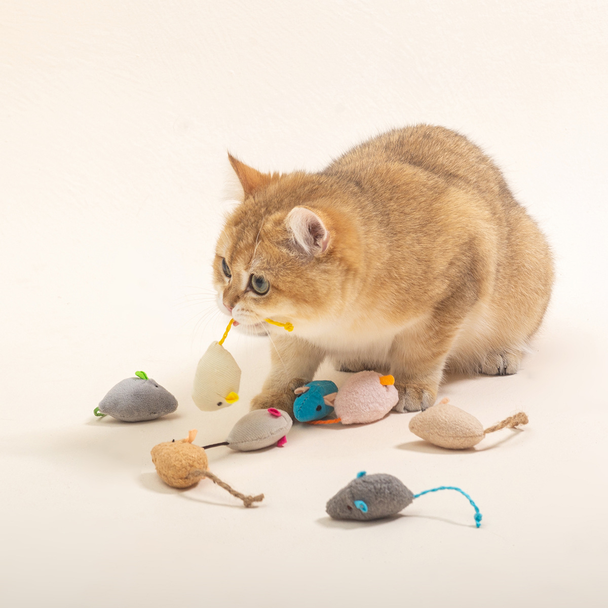 16 Adet İnteraktif Kedi Fare O - Catnip Interactive Plush Mouse incelemesi ve fiyatı