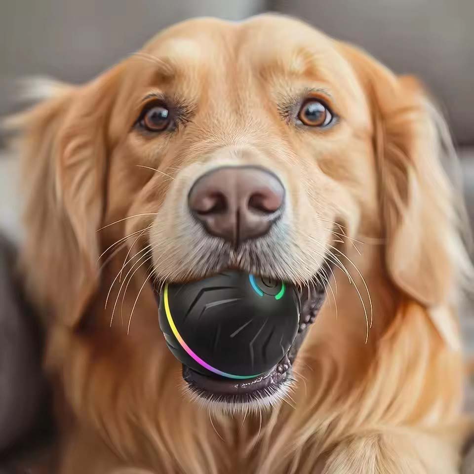 İnteraktif Akıllı Köpek Oyunca - Automatic Moving Dog Ball incelemesi ve fiyatı