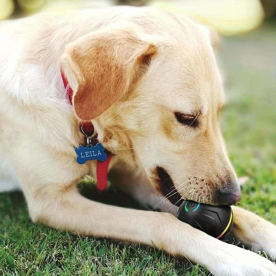 İnteraktif Akıllı Köpek Oyunca - Automatic Moving Dog Ball incelemesi ve fiyatı