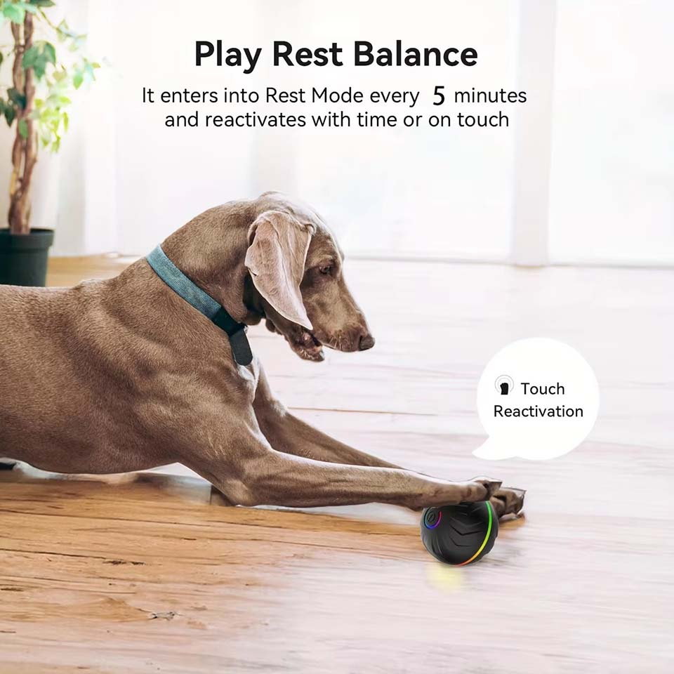 İnteraktif Akıllı Köpek Oyunca - Automatic Moving Dog Ball incelemesi ve fiyatı