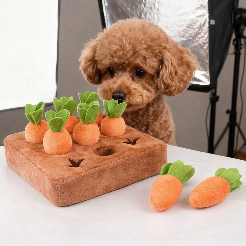Stres Giderici Havuçlu Burun O - Snuffle Mat For Dogs incelemesi ve fiyatı