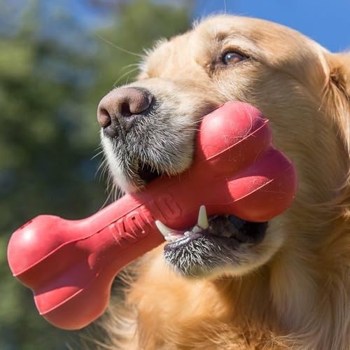 Klasik Dayanıklı Doğal Kauçuk  - Rubber Treat Dispensing Dog Toy incelemesi ve fiyatı