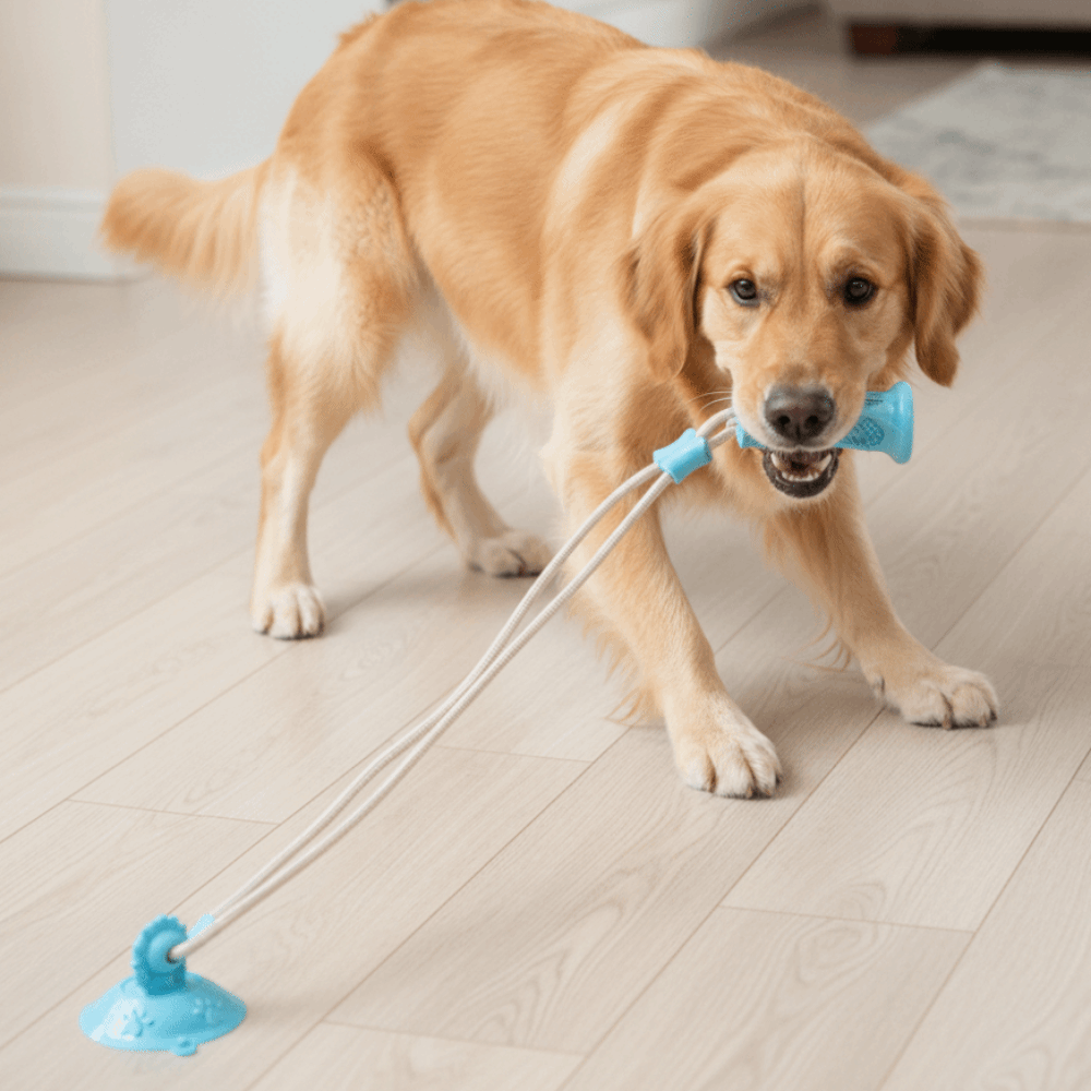 Isırmaya Dayanıklı Köpek Vantu - Suction Cup Dog Tug Toy incelemesi ve fiyatı