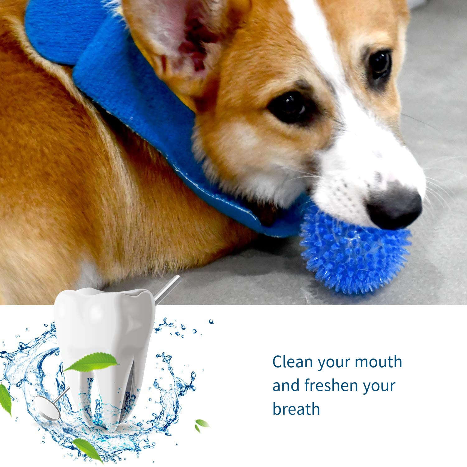 Köpek Oyuncakları Ses Oyuncak  - Suction Cup Dog Tug Toy incelemesi ve fiyatı
