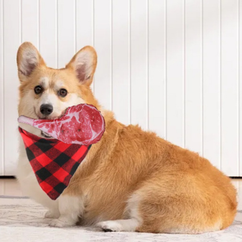 Simüle Biftek Sesli Köpek Oyun - Teeth Cleaning Dog Chew Bone incelemesi ve fiyatı