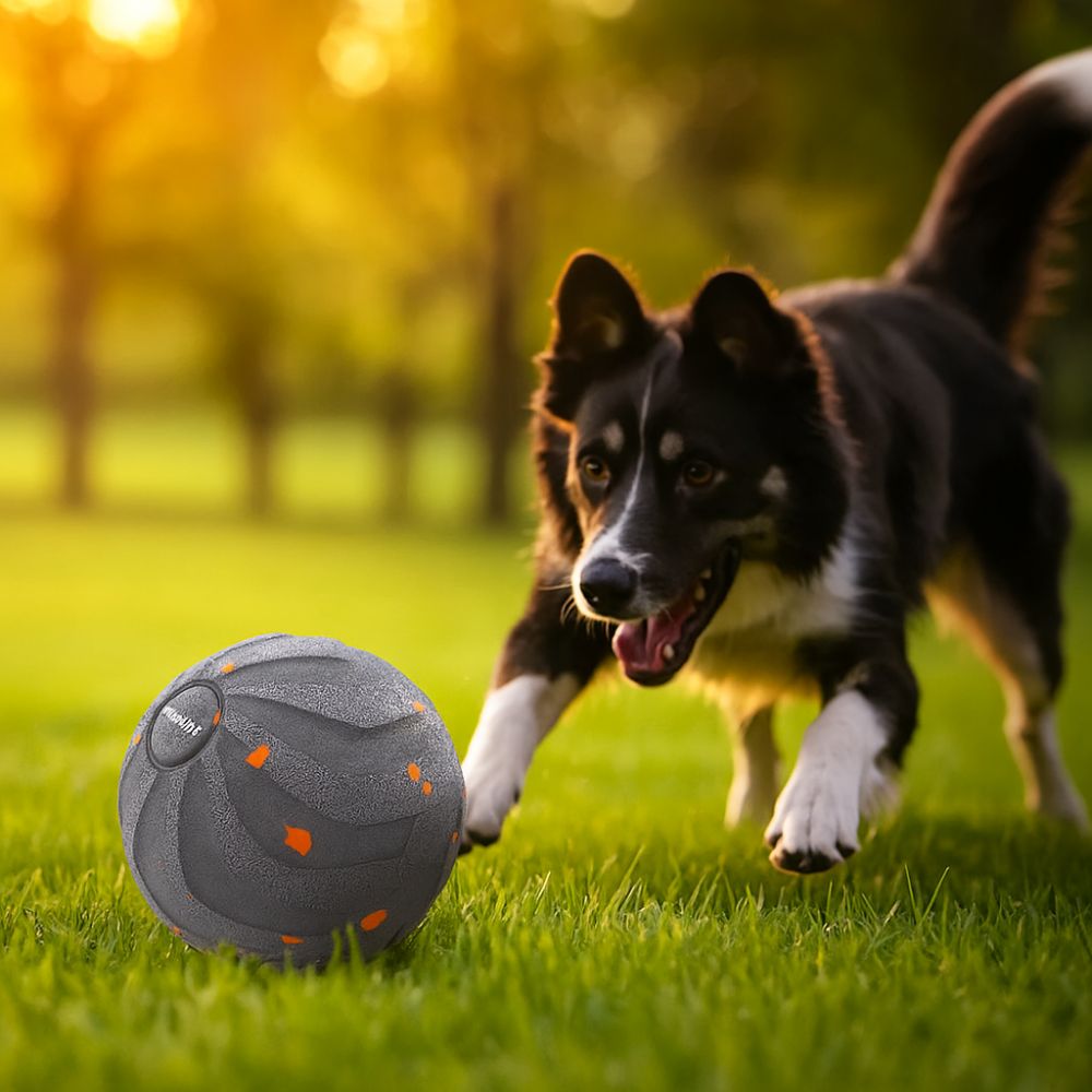Isırmaya Dayanıklı Akıllı Köpe - Automatic Moving Dog Ball incelemesi ve fiyatı