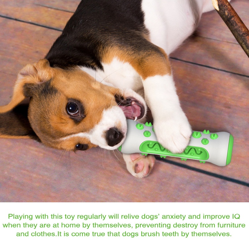 Evcil Köpek Diş Çıkarma Çubuğu - Teeth Cleaning Dog Chew Bone incelemesi ve fiyatı