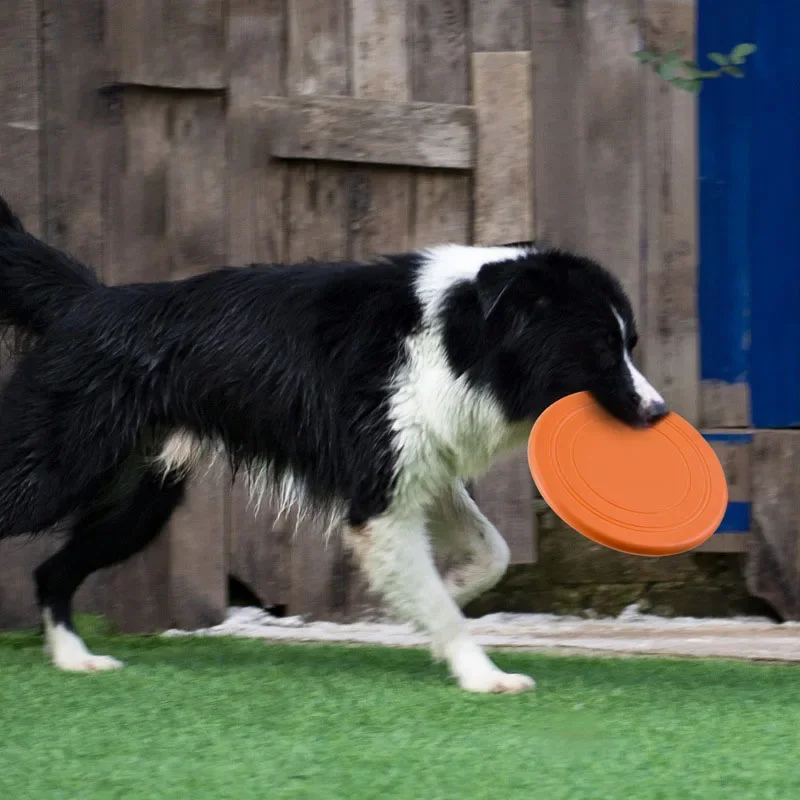 Silikon uçan daire komik köpek - Flying Disc Dog Training Toy incelemesi ve fiyatı