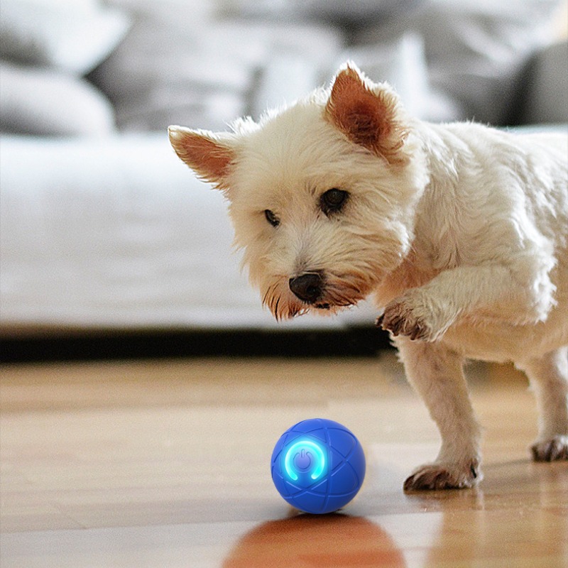 Akıllı Köpek Oyuncak Top USB O - Suction Cup Dog Tug Toy incelemesi ve fiyatı